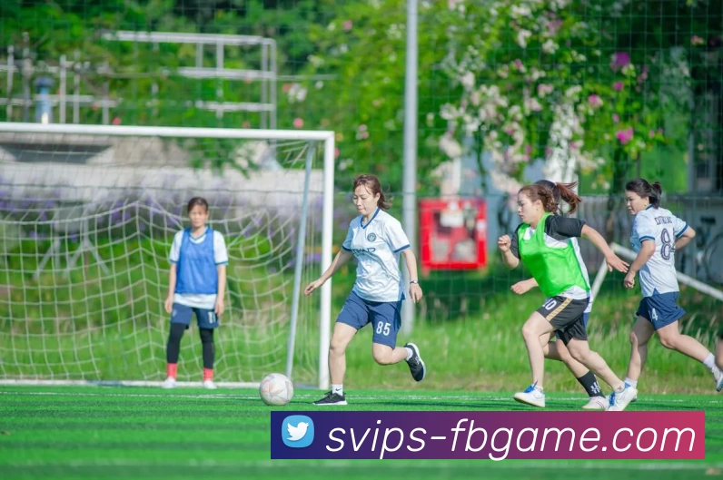 FB体育官网平台生态图