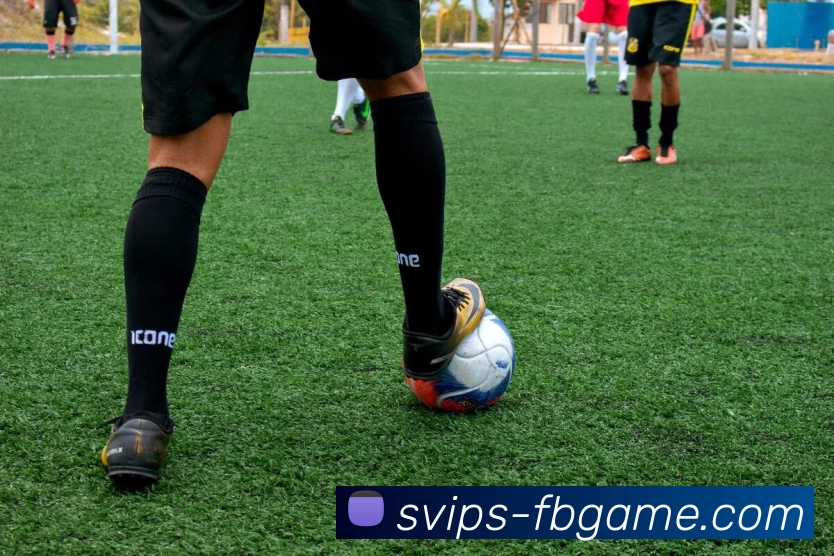 FB体育官网全站App